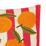 Coussin Multicolore