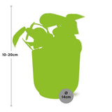 Plante Scindapsus peint « Trebie » en pot jaune 14 cm