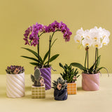 Maison Colibri | Pot décoratif Candy - Rose - Ø9cm