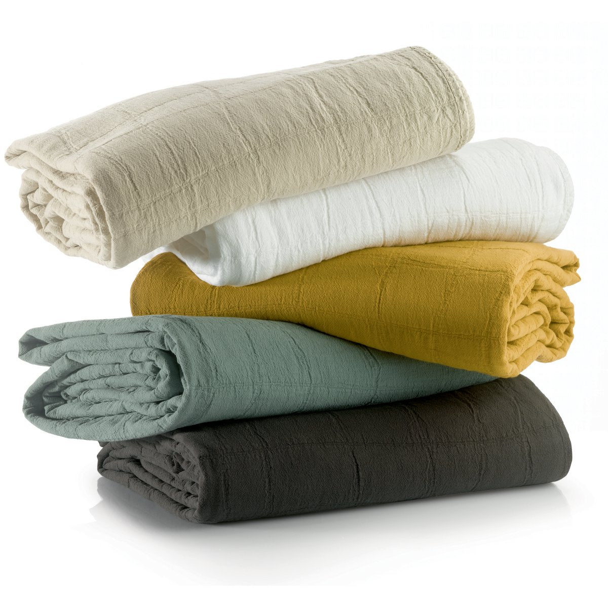 Image de diapositive
