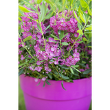 Plante artificielle Kalmia rouge en pot