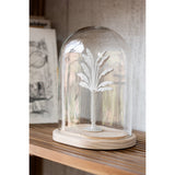 Pot Cloche Palmier sur une table, ambiance moderne et élégante
