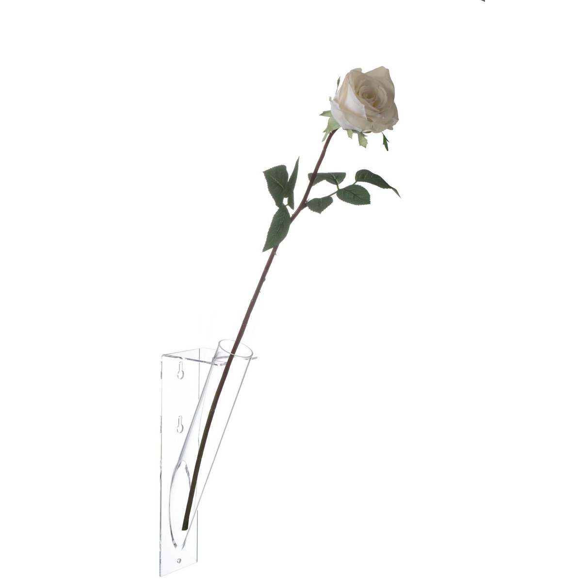 Vase J-Line transparent, vue de face avec plantes