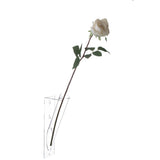 Vase J-Line transparent, vue de face avec plantes