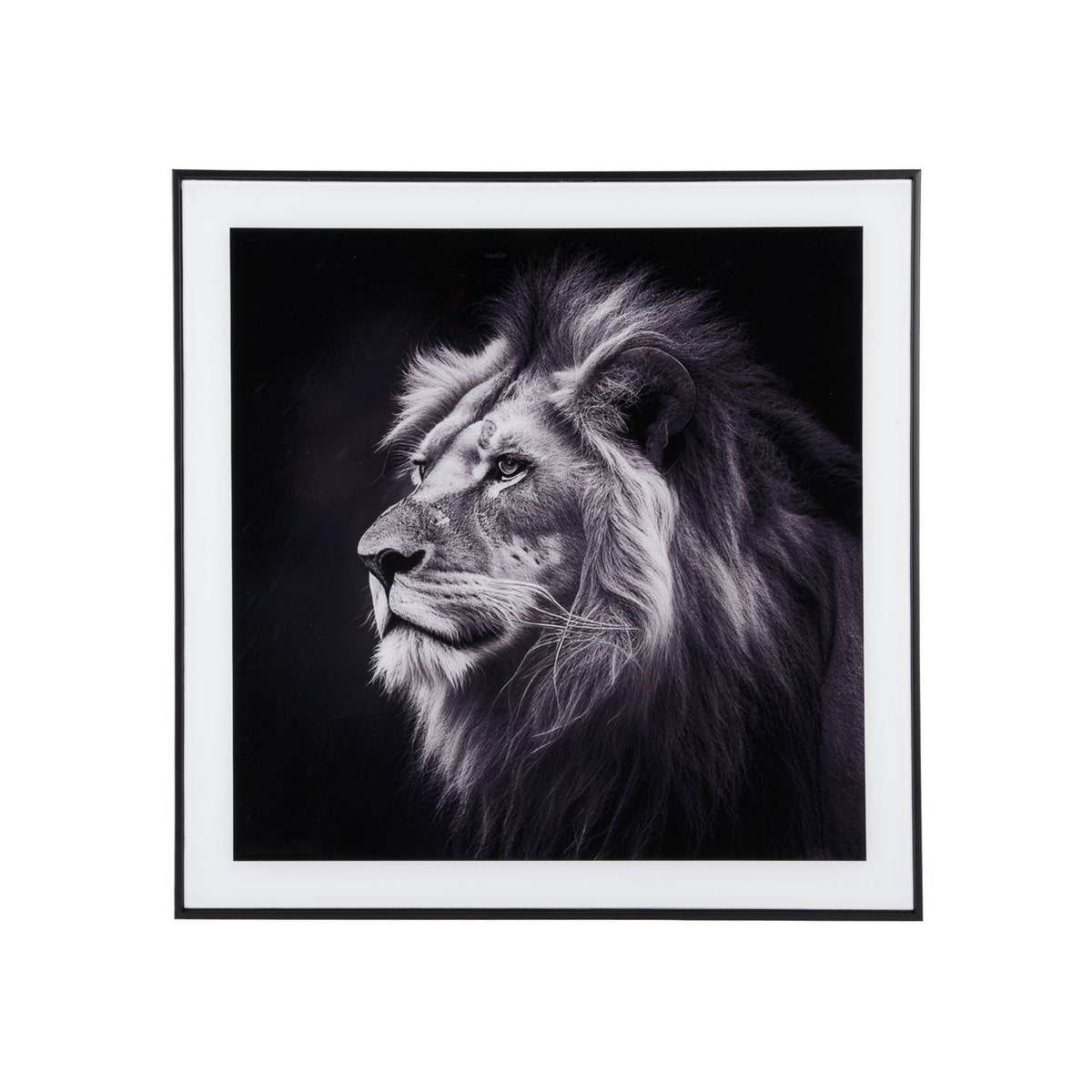 Tableau Lion d'art photographique avec cadre en verre noir