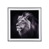 Tableau Lion d'art photographique avec cadre en verre noir