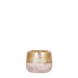 Maison Colibri | Pot Elite or - Ø6cm