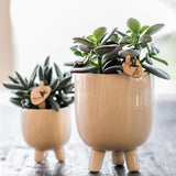 Maison Colibri | Pot à gomme travertin - Ø9cm