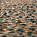 Ambiance intérieure avec le Tapis Elliot Riviera