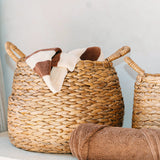 Panier à linge tissé rond - Hamper boho bulbeux - panier de plantes naturelles - Grande de stockage de jacinthe à grande eau (2 tailles) Citra
