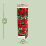 Dipladenia - Ø10,5cm - ↕30cm