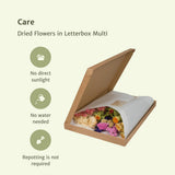 Fleur sèche dans la boîte aux lettres Multi - Multi