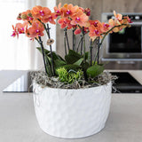 Bol à miel avec bouquet d'orchidées orange et plantes vertes