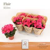 Adonia P14 P14 Craft - Ø14cm - ↕31cm