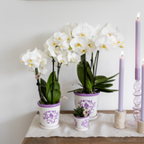 Cache-pot en céramique lilas