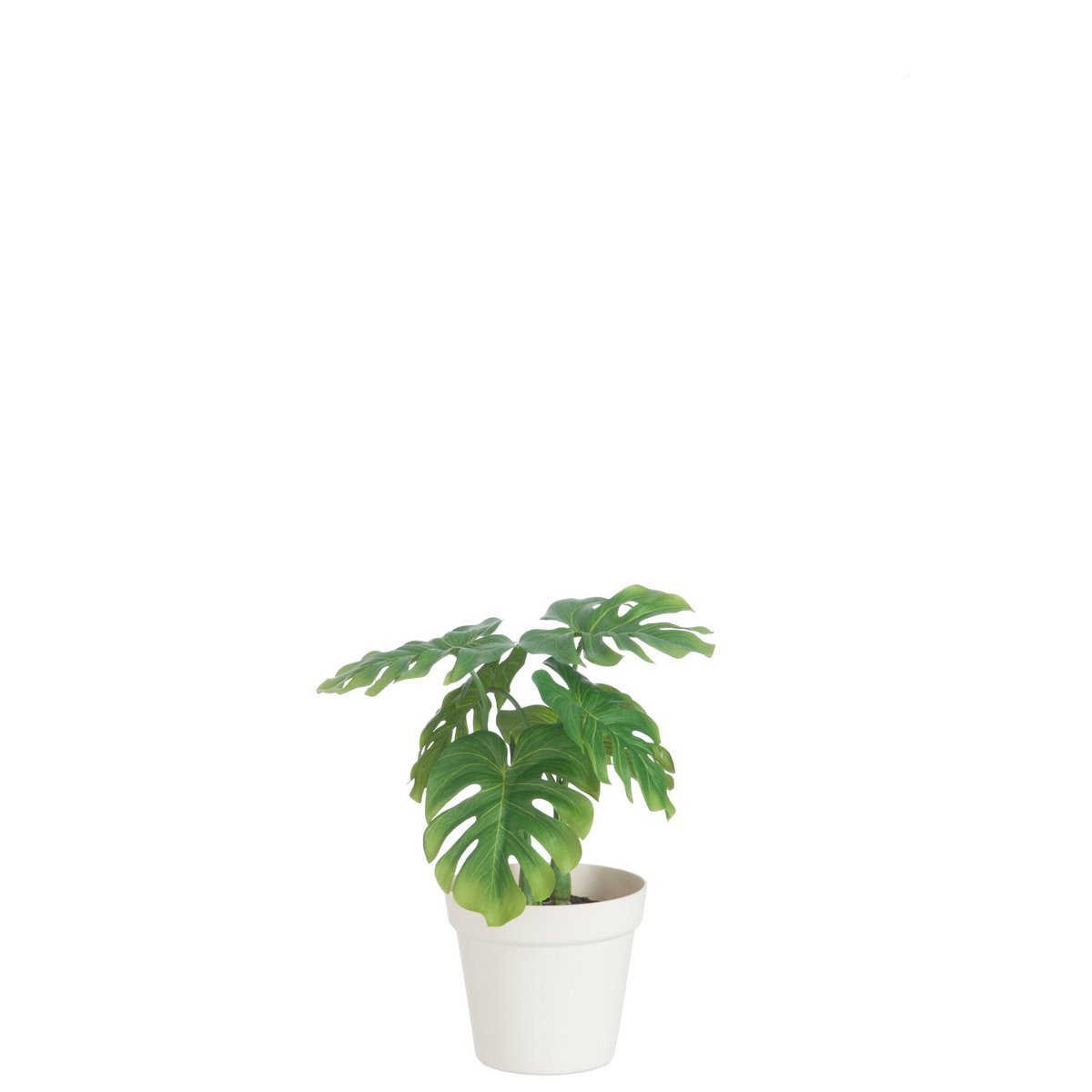 Plante Leaf Philon J-Line en pot blanc, contraste moderne et verdoyant