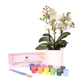 Kit peinture pour 4 pots et orchidées Kolibri