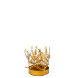 Asperges votives