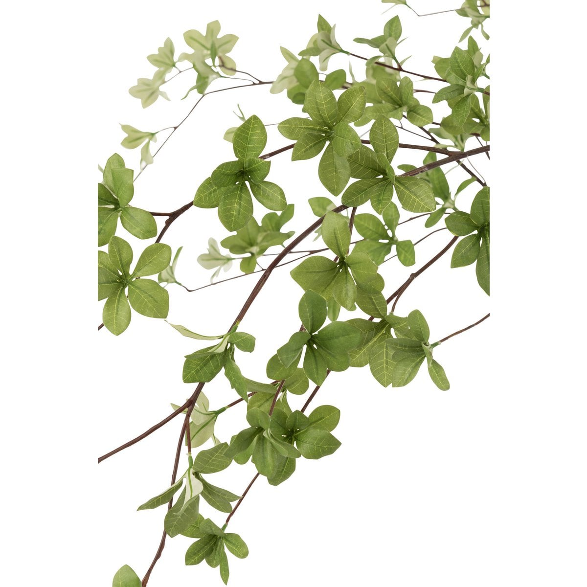 Plante artificielle J-Line avec feuilles fines vertes et noires, vue d'ensemble.