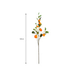 Branche d'art Orange