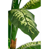Plante artificielle Dieffenbachia Vert