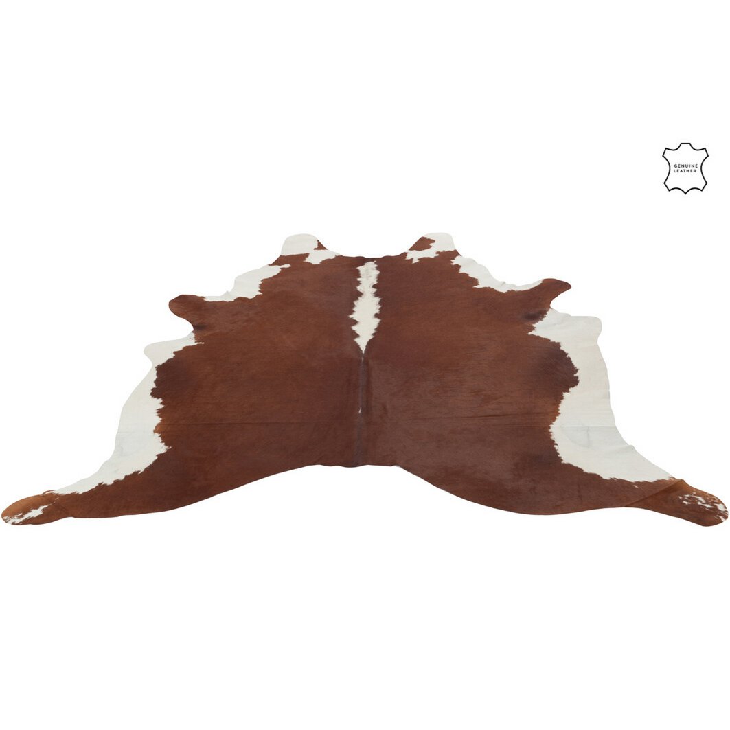 Tapis J-Line en situation dans un salon moderne