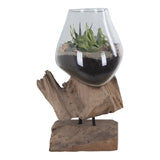 Goutte d'Eau Saint-Marin avec plantes aériennes, ambiance moderne