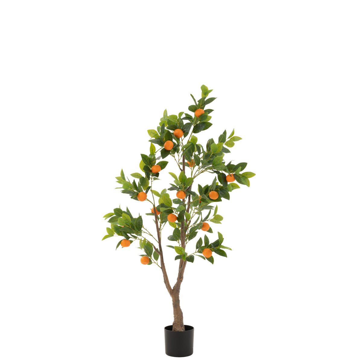 Oranger J-Line en pot sur une table décorative