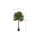 Plante artificielle Pachira Vert