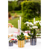 Détails des pots décoratifs Painted Stripe avec plantes vertes