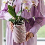 Maison Colibri | Pot décoratif de bonbons | Haut - Rose - Ø9cm