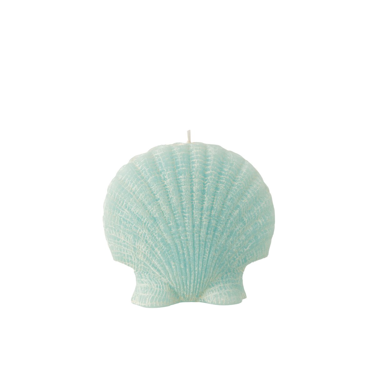 Bougie Coquillage Cire Azur Large de J-Line sur fond blanc