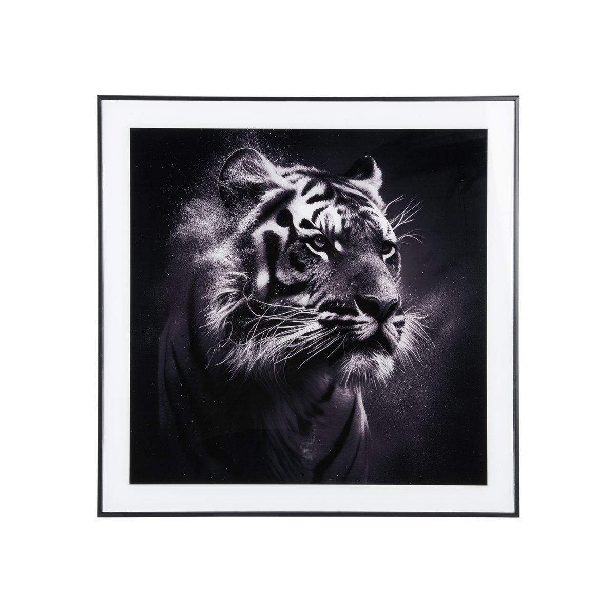 Photo d'art Tigre encadrée, vue de face avec détails du verre