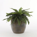 Plante artificielle Fougère Verte