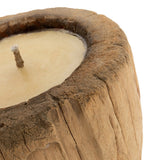 Le Tronc de Bougie - Naturel