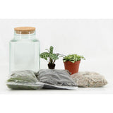 Aménagement Terrarium (DIY) - Ø13cm - ↕25cm