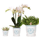 Lot de plantes artificielles orchidée phalaenopsis et succulentes