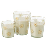 Bougie parfumée J-Line Rose Tender dans un verre transparent