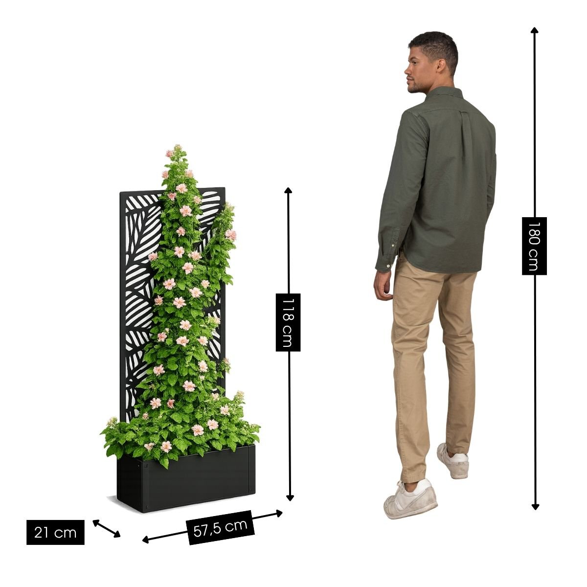 Support à Plantes Sapri Black - Plantes grimpantes en pot