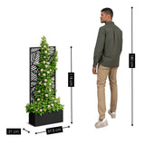 Support à Plantes Sapri Black - Plantes grimpantes en pot