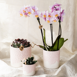 Lot de 3 cache-pots roses en résine 6, 9 et 12 cm