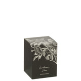 Bougie parfumée J-Line Cardamom Lime dans un élégant verre multicolore