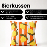 Coussin Multicolore