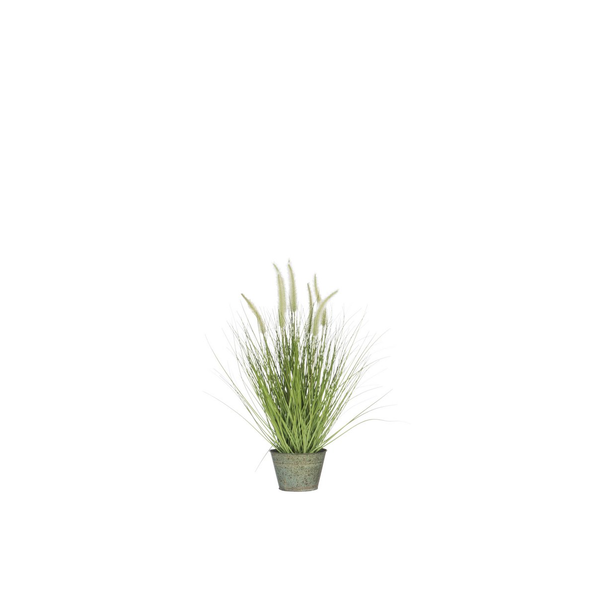 Graminées en pot J-Line vert avec pot en métal, ambiance moderne