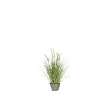 Graminées en pot J-Line vert avec pot en métal, ambiance moderne