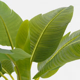 Plante artificielle Vert