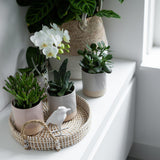 Maison Colibri | Bol décoratif - Plateau tressé blanc Ø30cm