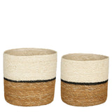 Ensemble Plantenmand Damian Wit