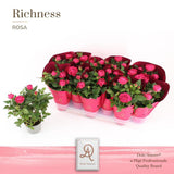 Cache-pot rose brillant en résine Ø10,5 cm H25 cm