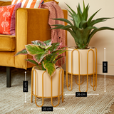 Pot de fleurs à l'intérieur de Dione Bruin